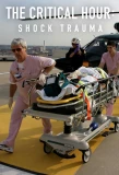 Poster for The Critical Hour: Shock Trauma