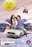 Poster for Flúgos futam