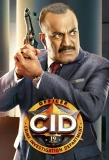 Poster for C.I.D.