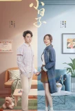 Poster for Xiao Ri Zi