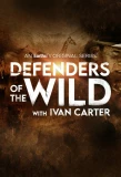 Poster for Defenders of the Wild