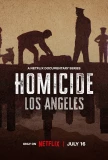 Poster for Homicide: New York