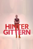 Poster for Hinter Gittern: Der Frauenknast