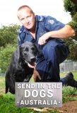 Poster for Send in the Dogs Australia