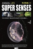 Poster for Animal Super Senses