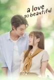 Poster for A Love So Beautiful
