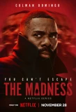 Poster for The Madness