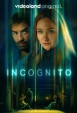 Poster for Incognito