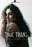 Poster for True Trans