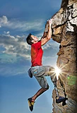 Poster for Fight to Survive