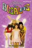 Poster for The Bugaloos
