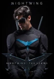Poster for Nightwing: The Series