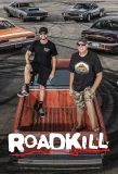 Poster for Roadkill