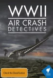 Poster for WWII Air Crash Detectives