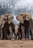 Poster for Life Story
