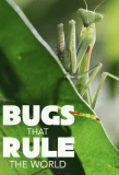 Poster for Bugs that Rule the World