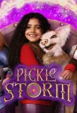 Poster for Pickle Storm