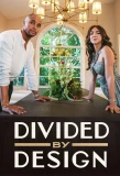 Poster for Divided by Design
