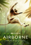 Poster for Airborne