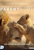 Poster for Parenthood