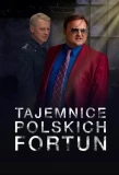 Poster for Tajemnice polskich fortun