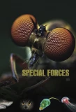 Poster for Animal Special Forces