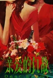 Poster for Dear Enemy