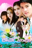 Poster for Dok Bua Kao