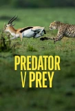 Poster for Predator vs Prey