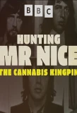 Poster for Hunting Mr Nice: The Cannabis Kingpin