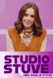 Poster for Studio Stuve