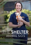 Poster for The Shelter: Animal SOS