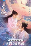 Poster for Life After Life