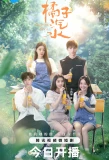 Poster for Orange Soda