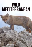 Poster for Wild Mediterranean