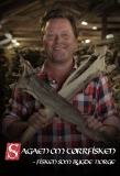 Poster for Fisken som bygde landet