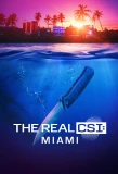Poster for The Real CSI: Miami