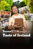 Poster for Dermot's Taste of Ireland