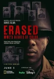 Poster for Erased: WW2's Heroes of Color
