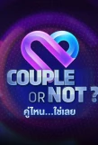 Poster for Couple or Not?