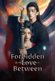 Poster for Forbidden Love Between
