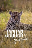 Poster for Jaguar Journals