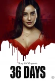 Poster for 36 Days