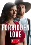 Poster for Forbidden Love
