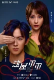 Poster for The Mystery House