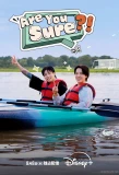 Poster for Are You Sure?