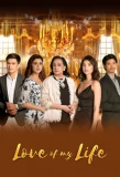 Poster for Love of My Life