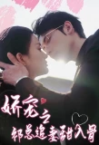Poster for 娇宠之祁总追妻甜入骨