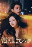 Poster for 前妻撩人傅先生宠不停