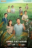 Poster for Happiness Juncao